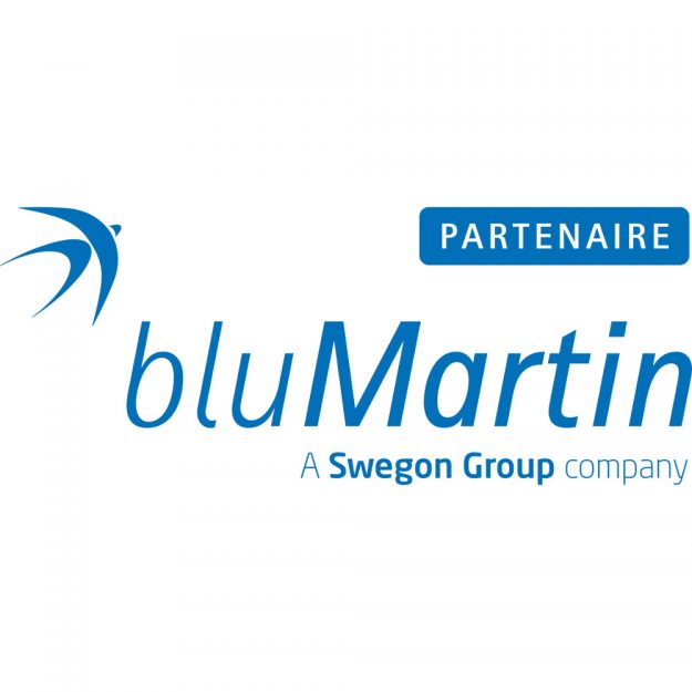 Logo bluMartin